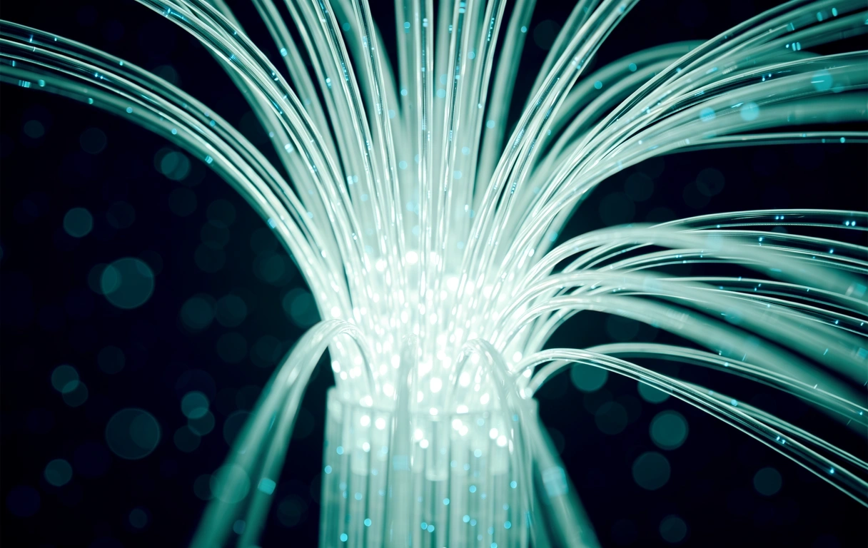 Data Flow Visualization